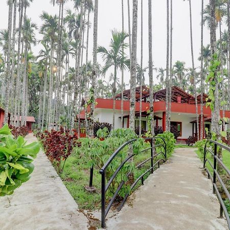 Ezzenza Areca Resort Мадікері Екстер'єр фото